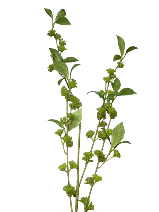 RAZ2169 -Branch / Budding