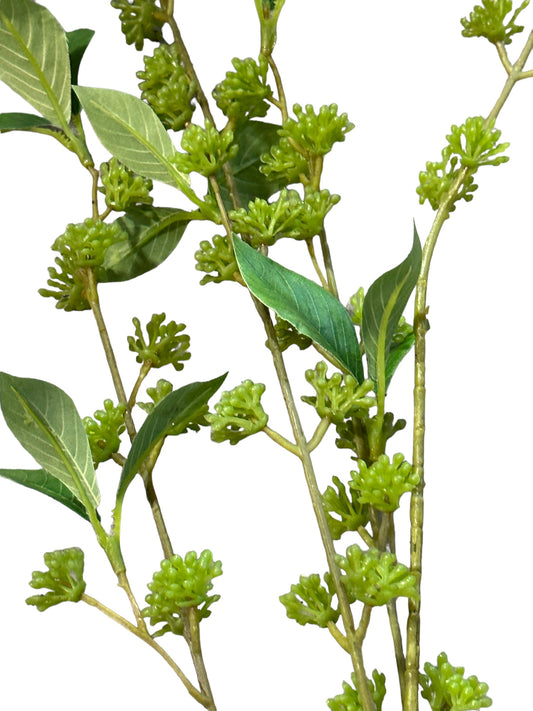 RAZ2169 -Branch / Budding