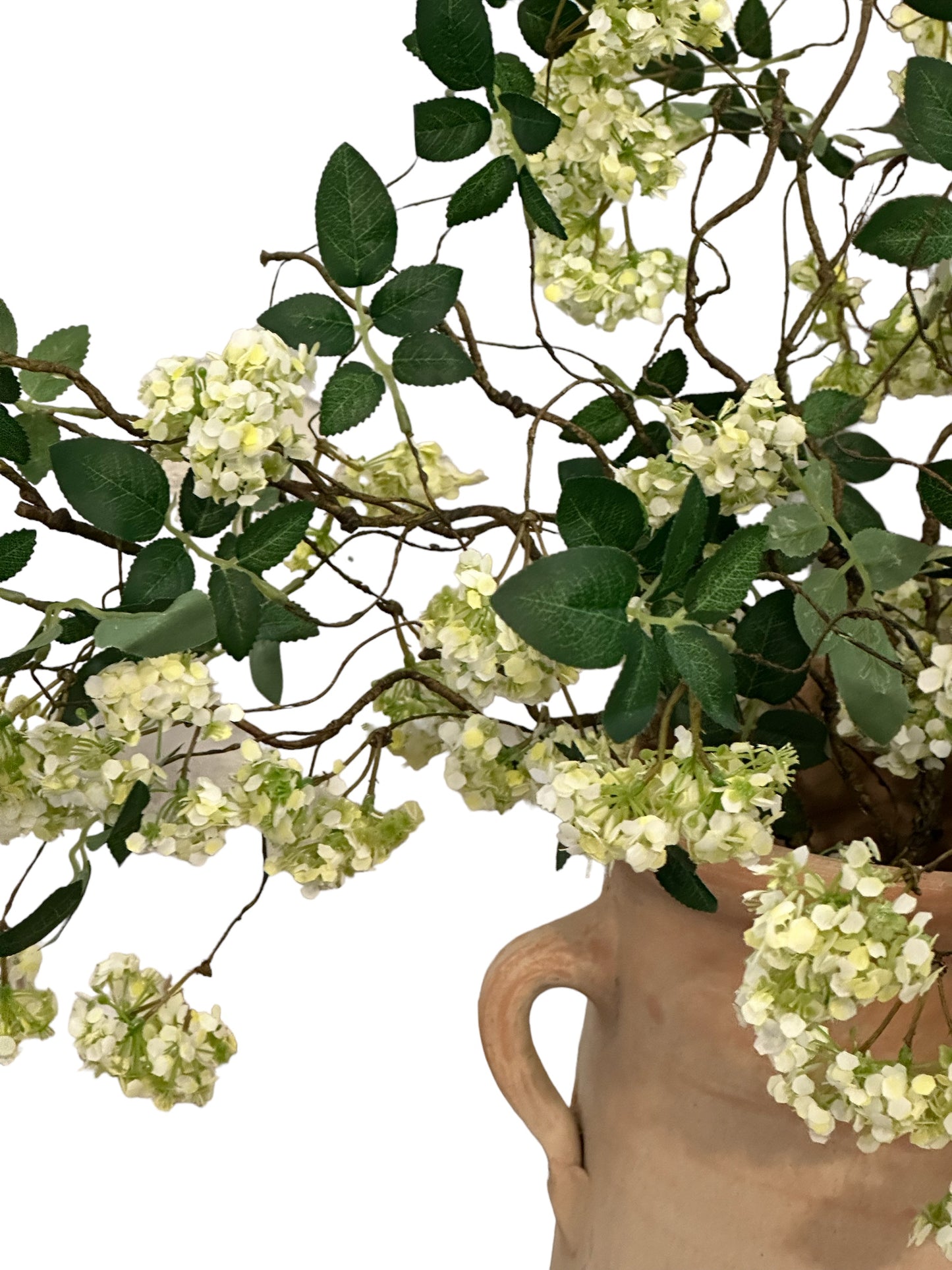 RAZ3104 -Blossom Spray / White