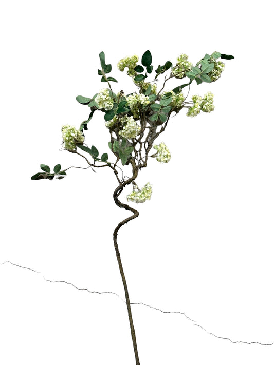 RAZ3104 -Blossom Spray / White