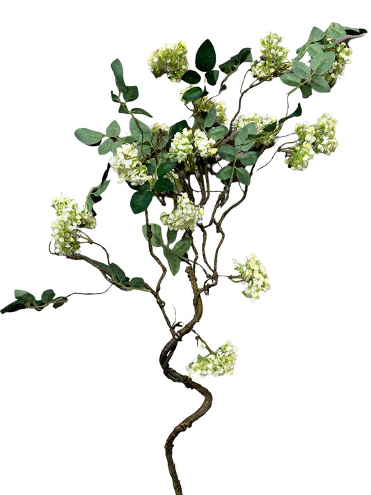 RAZ3104 -Blossom Spray / White