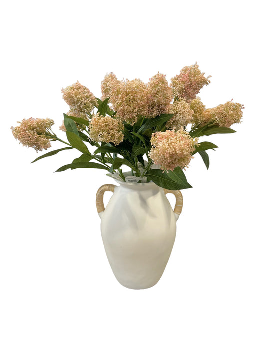 CMC319 Skimmia Spray / Flowering