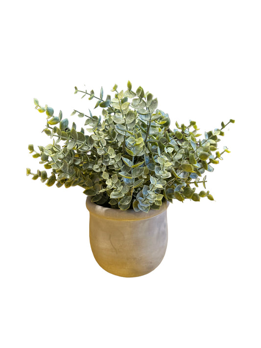 CB688 - Eucalyptus in Matte Pot ()