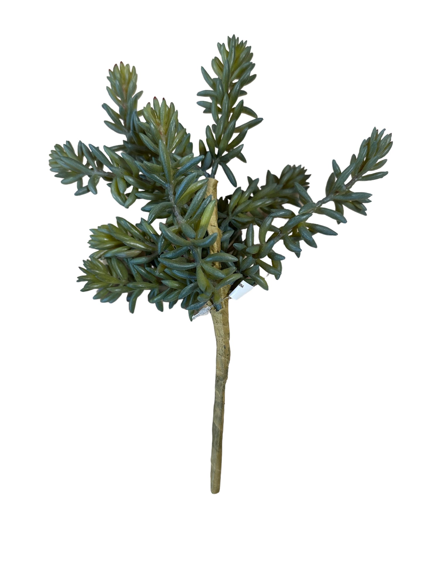 CMC127 Finger Succulent