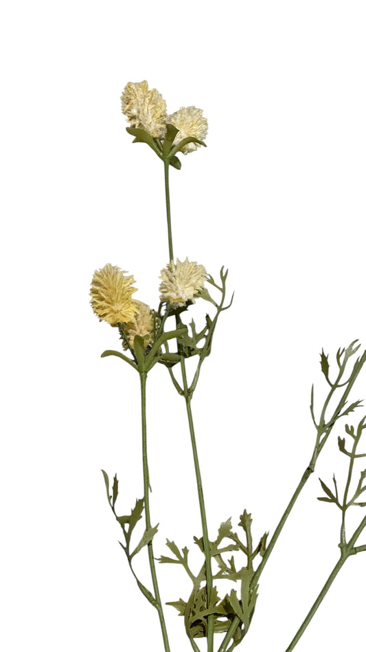 Nos1592- wildflowers / pale yellow