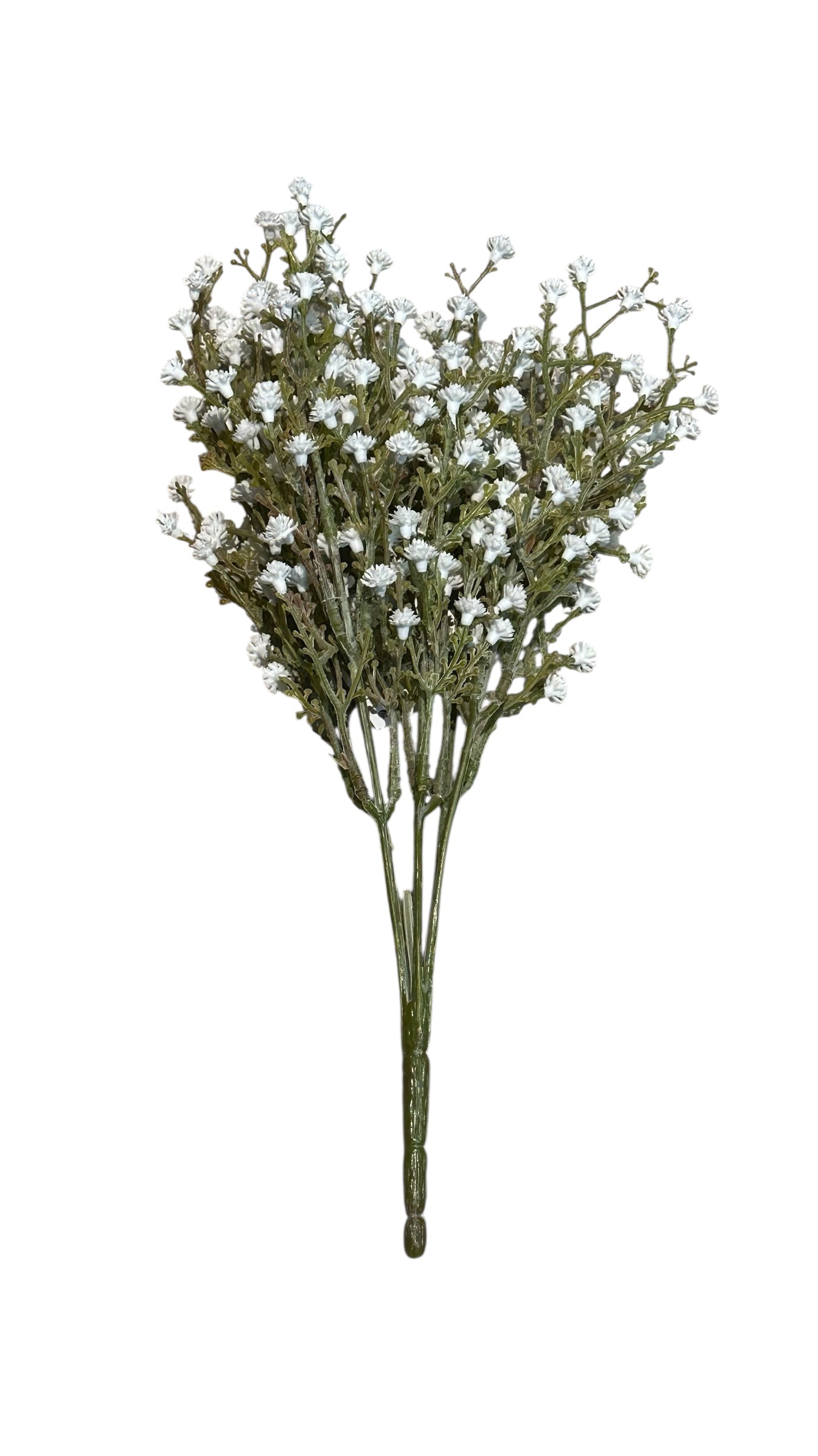 Nos3879- white baby’s breath