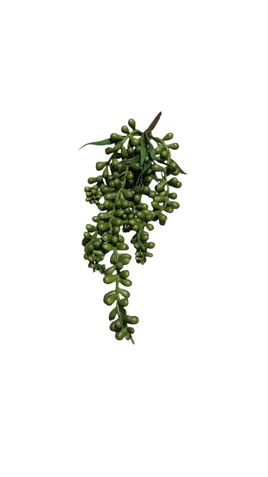 Nos8603-hanging greens