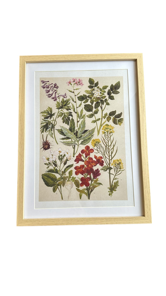 Nos3825a- Wall art / wild flowers