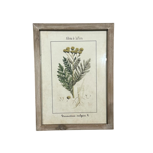 Wall Art Collection / Album de La Flora