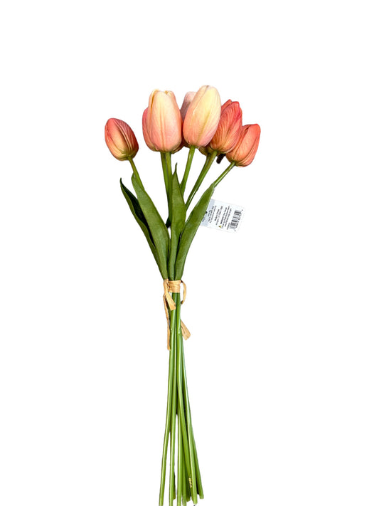 RAZ2010 Tulips/ peach