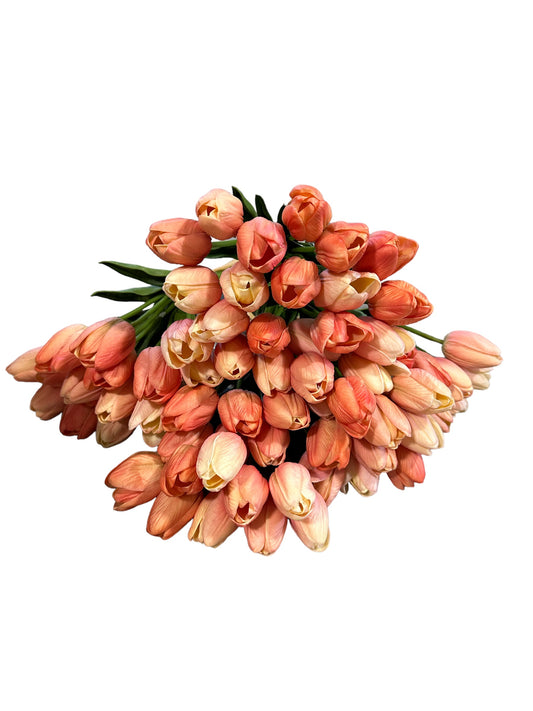 RAZ2010 Tulips/ peach