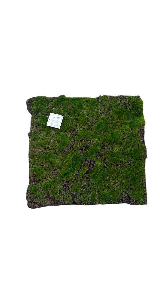 Cmc989- moss mat