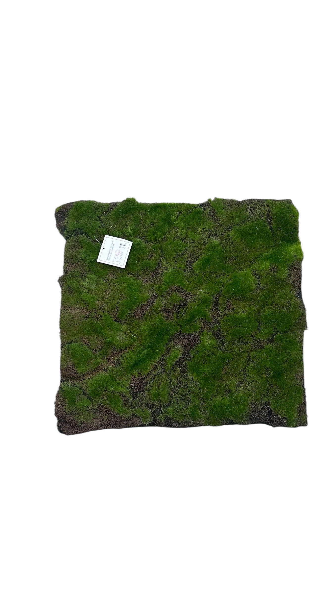 Cmc989- moss mat
