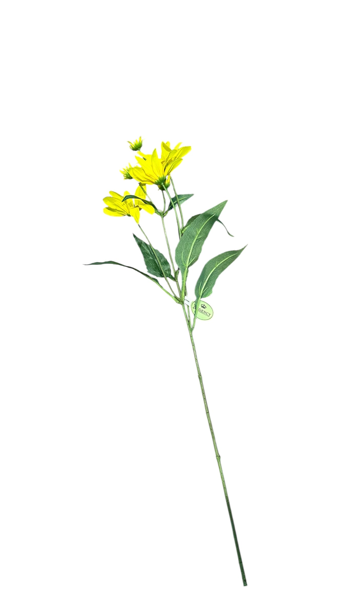 CMC197 mountain daisy / yellow