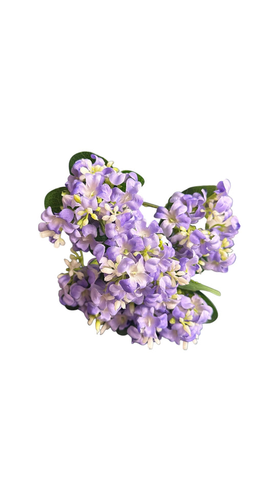 CMC228P Hyacinth Bush