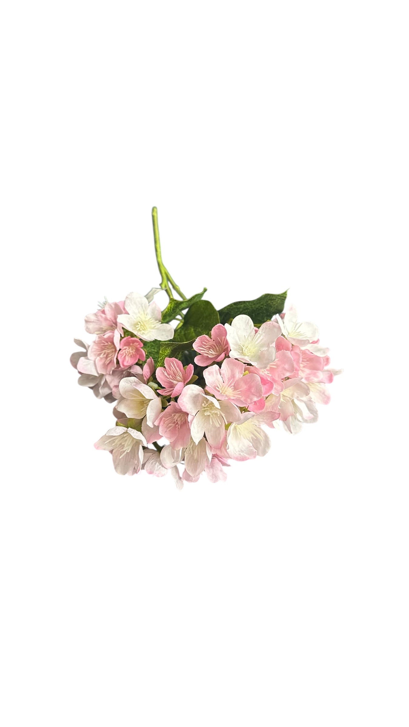Cmc884bh/ spring blossoms / pink