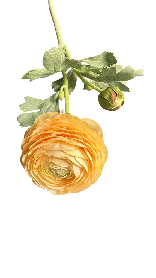CMC233Y Ranunculus & bud stem / yellow