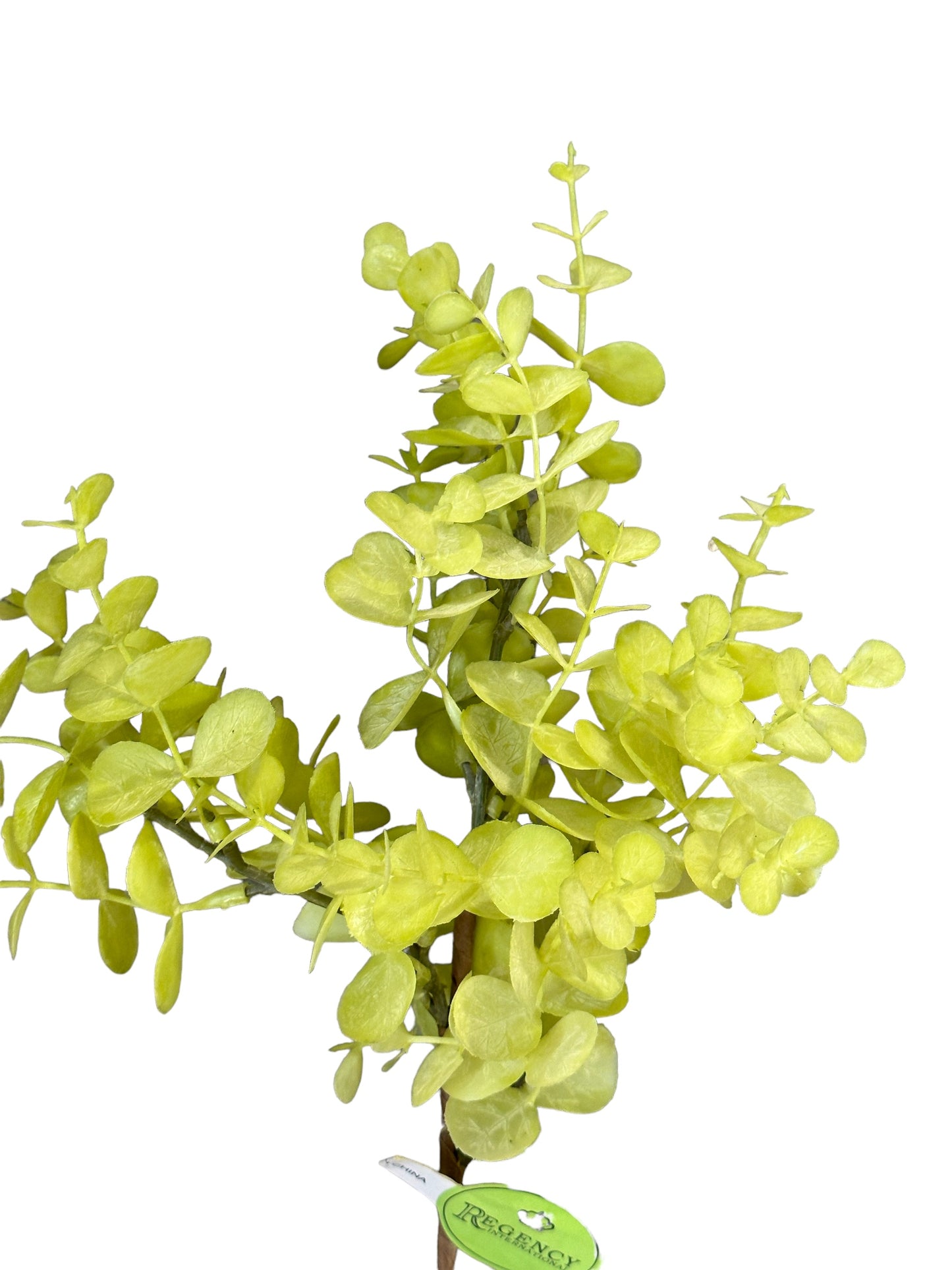 CMC812 - Eucalyptus / Spring Pick