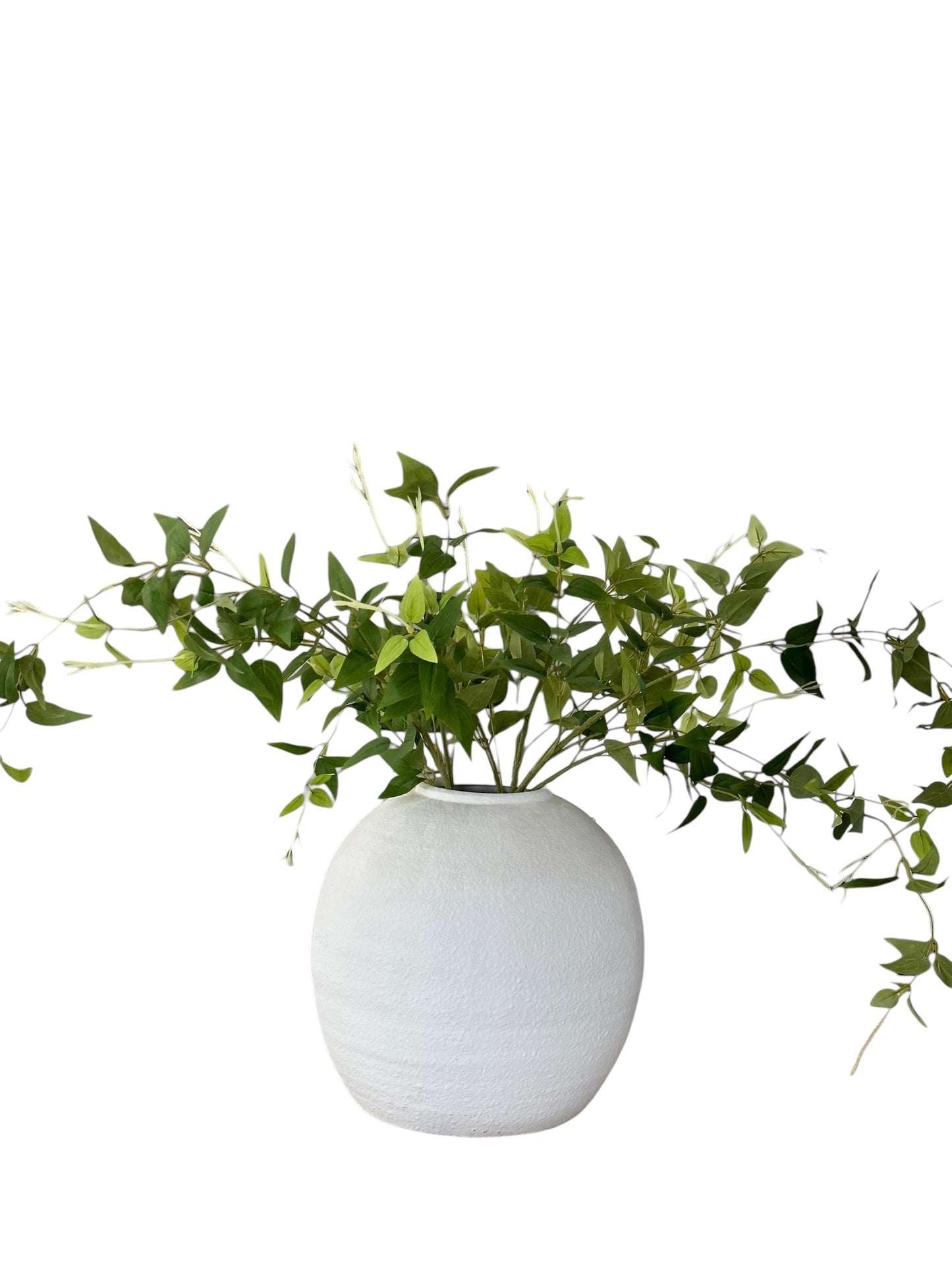 RAZ2649 - Green Leaf Spray