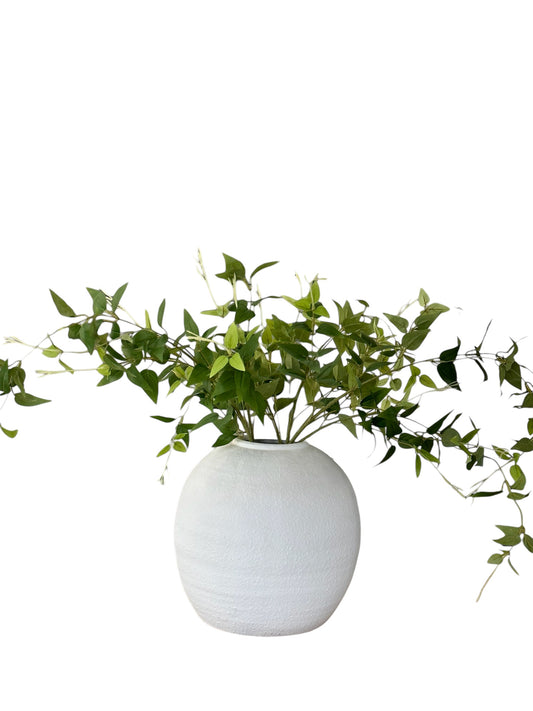 RAZ2649 - Green Leaf Spray