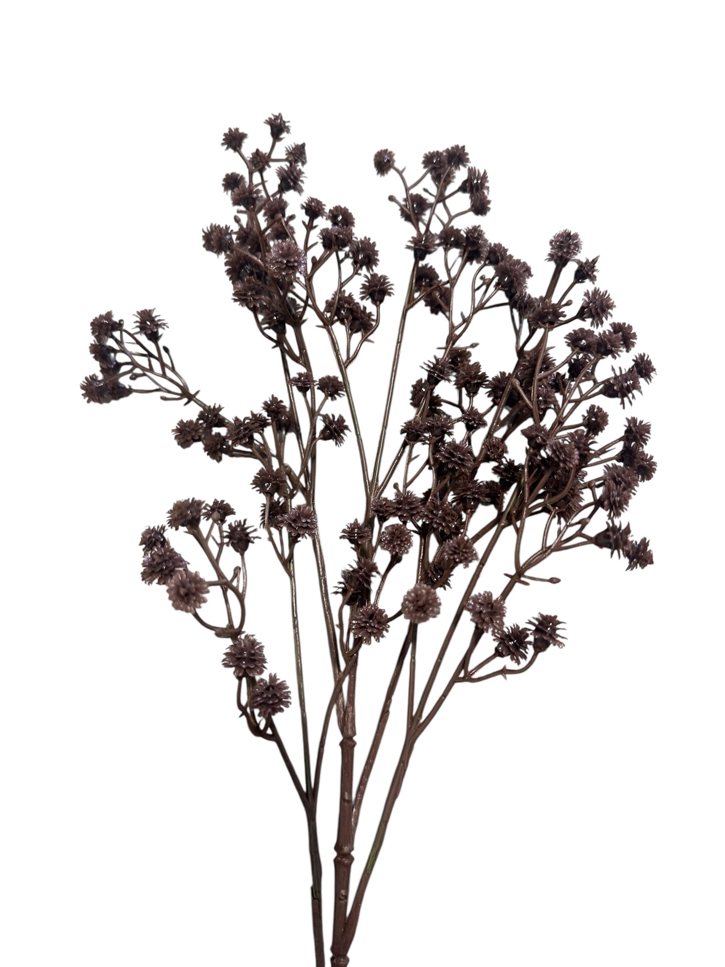 Flower Stem / Baby’s Breath