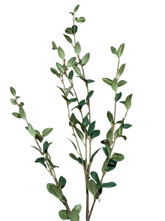 P0268 -Green Stem