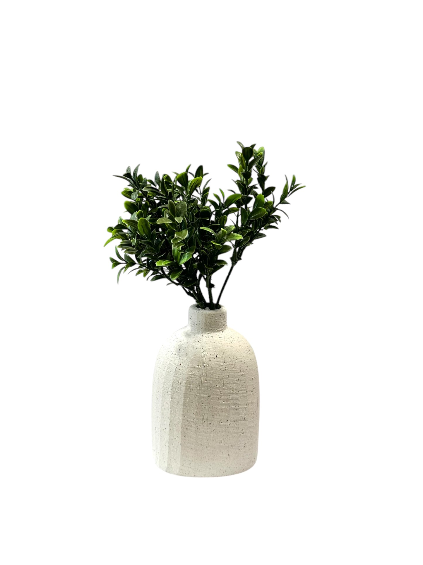 CMC413-boxwood