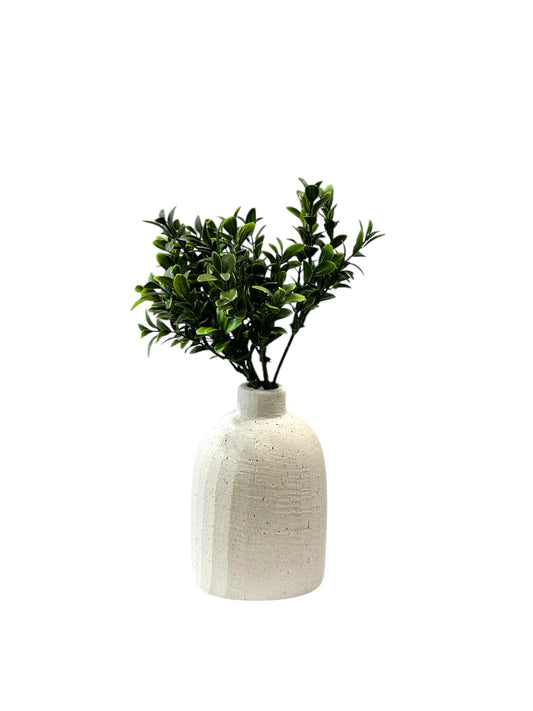 CMC413-boxwood