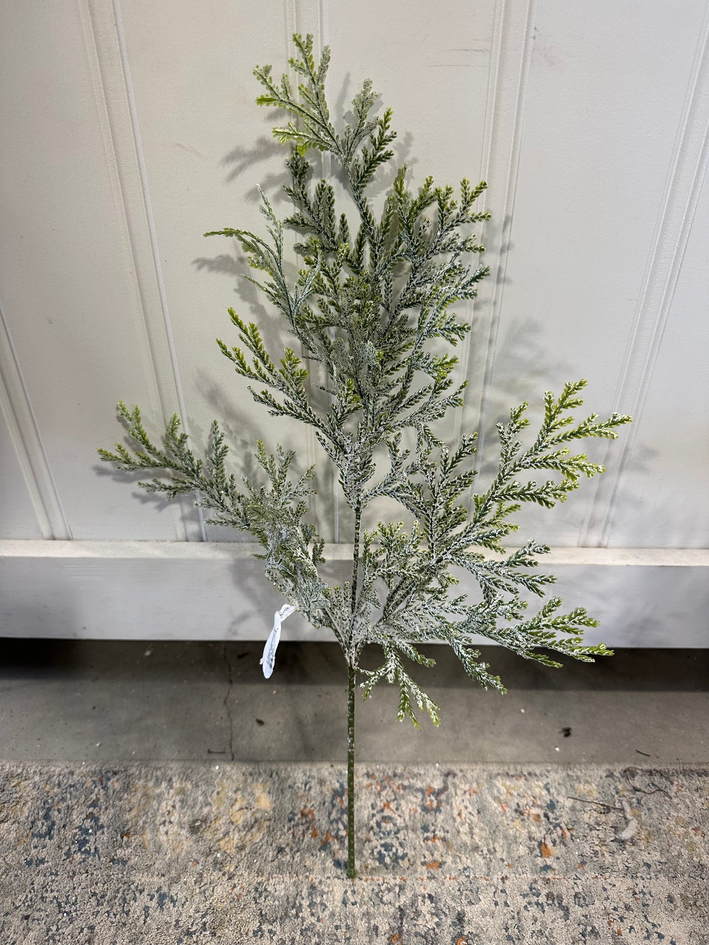 CMC681 Frosted Cedar Sprayn