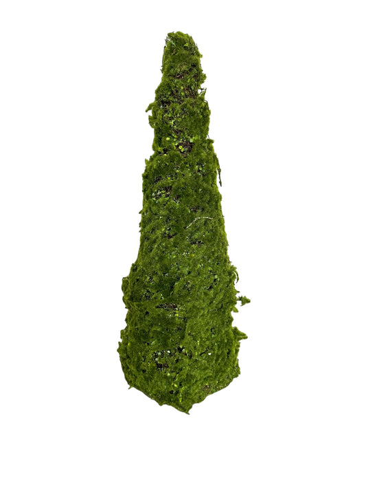 CMC896 - Moss Cone tree