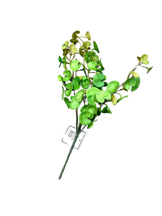 CMC945 - Hanging bush / Pilea
