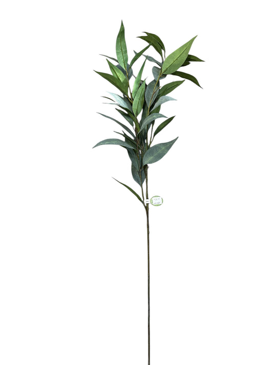 CMC385-Willow eucalyptus Spray