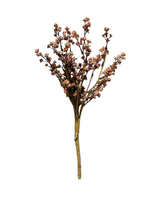 DH185- peach plant with buds