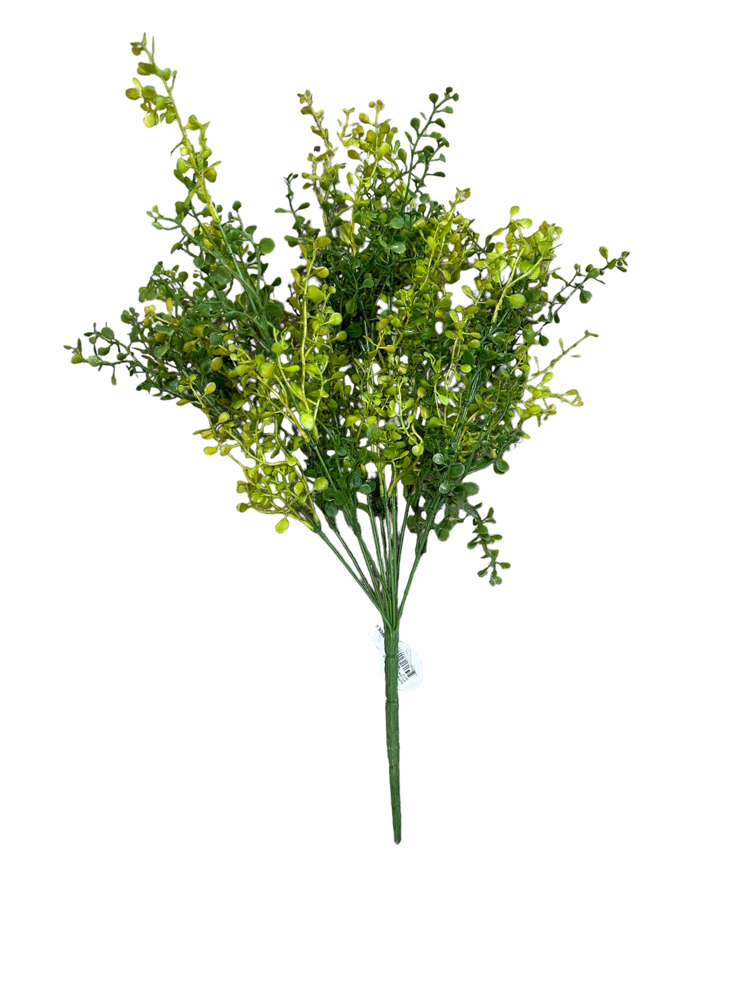 CMC966 Spring Button Leaf bush