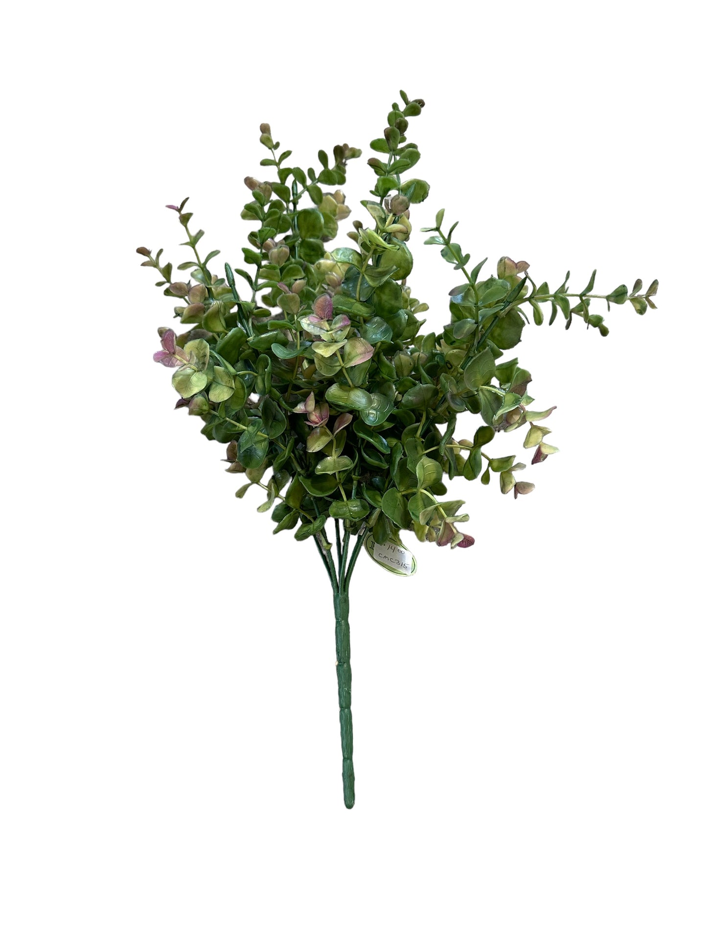 CMC315 - Eucalyptus /variegated Bush