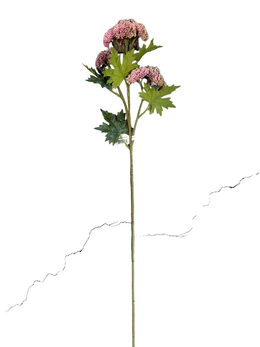 CMC973PK Sedum Spray/ pink