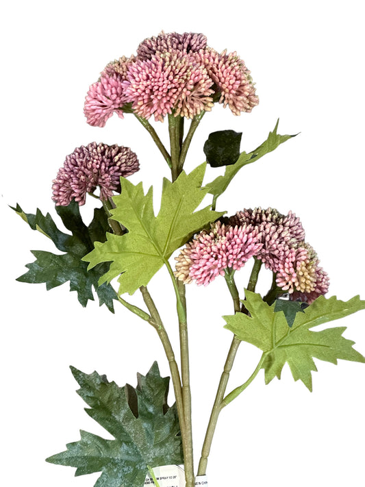 CMC973PK Sedum Spray/ pink
