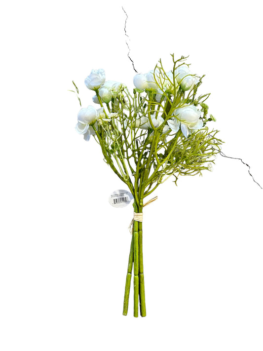 CMCRC308 Wild Ranuculus / white