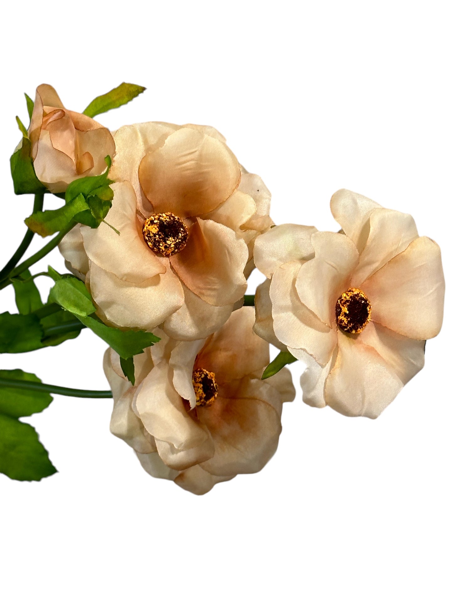 CMC613 -Butterfly Ranunculus spray / Apricot