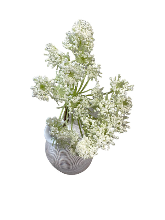 CMC222 Wild Queen Anne’s lace stem