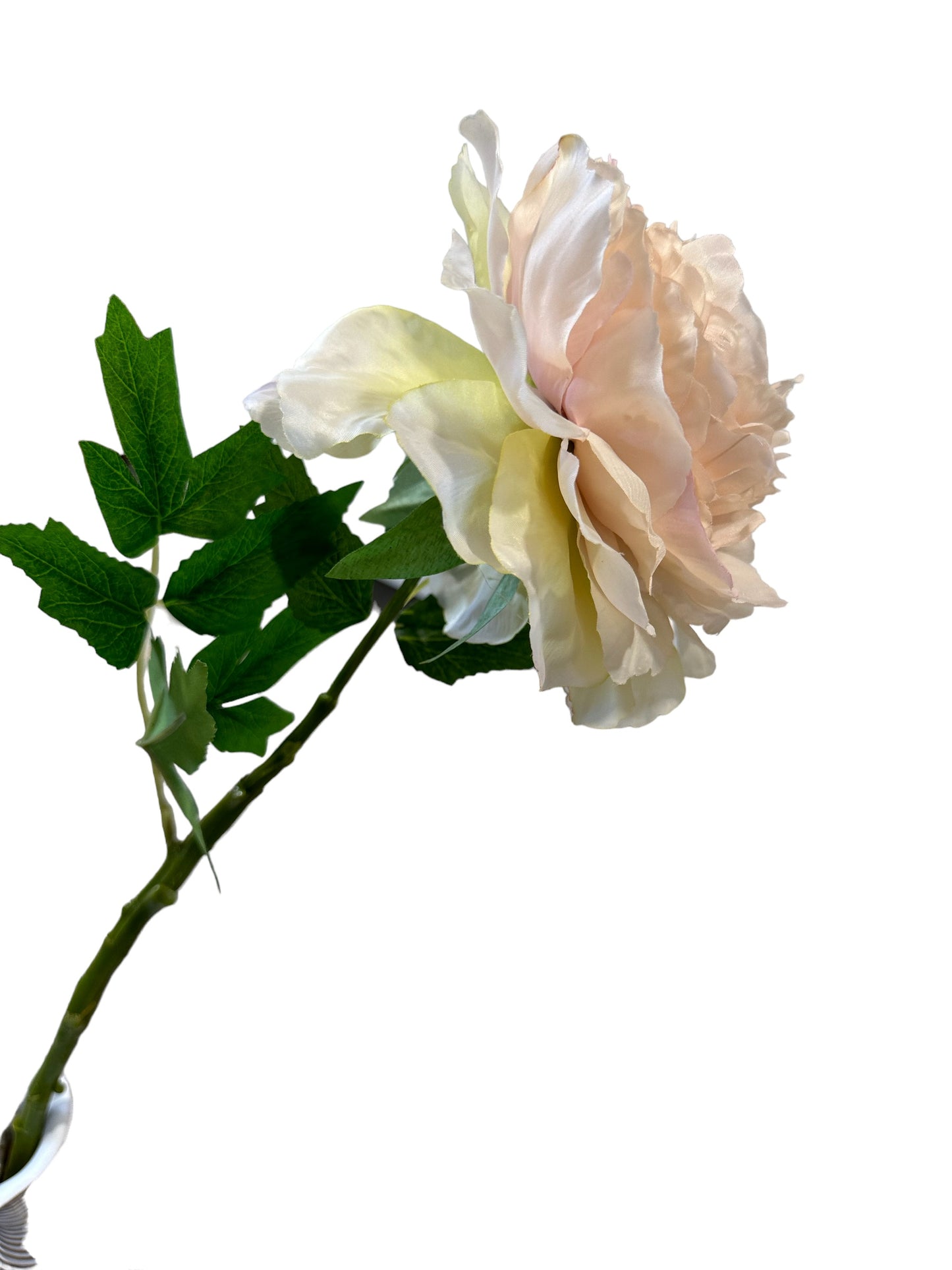 CMC228BL Peony stem / blush