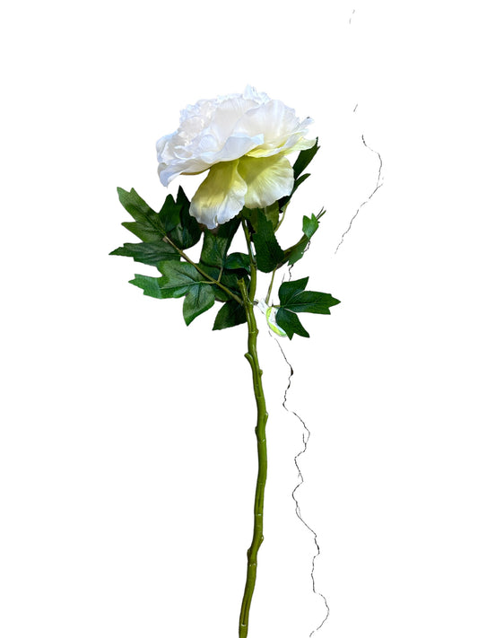 CMC228WH Peony Stem / white