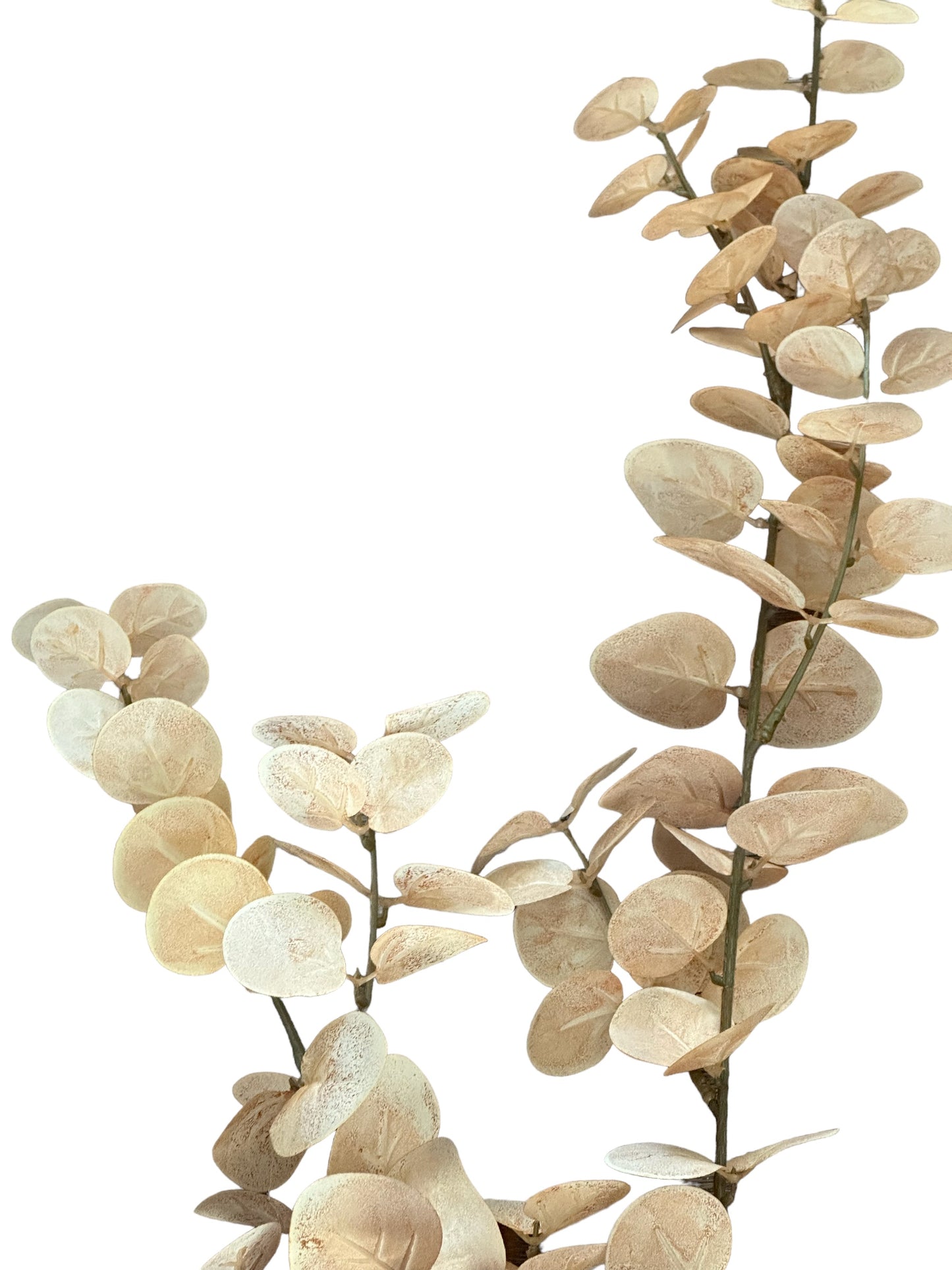 CMC988BR - Eucalyptus Spray / Blanched Brown