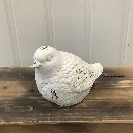 RAZ0189 -Bird / White Ash