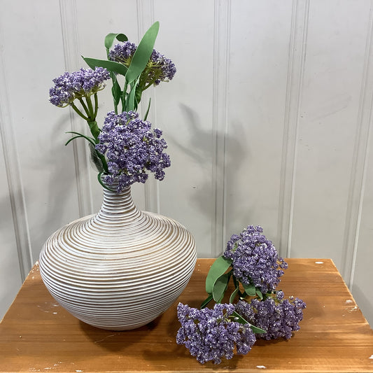 CMC308  Queen Anne’s Bush