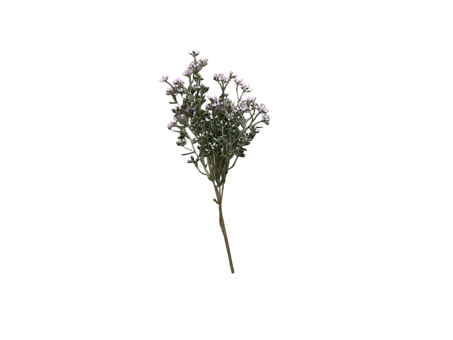 MC66 Seed Pick - Pink/White