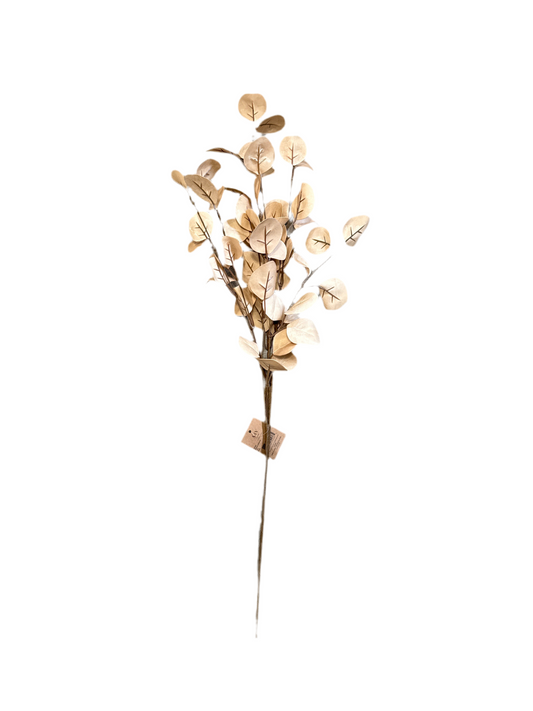 P0405 Eucalyptus / Beige
