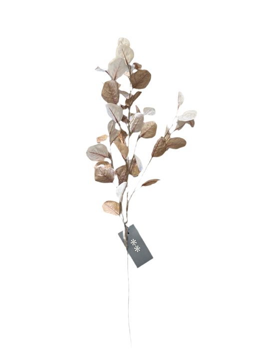 IND1658- Eucalyptus stem