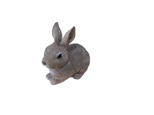 RAZ1119 Bunny