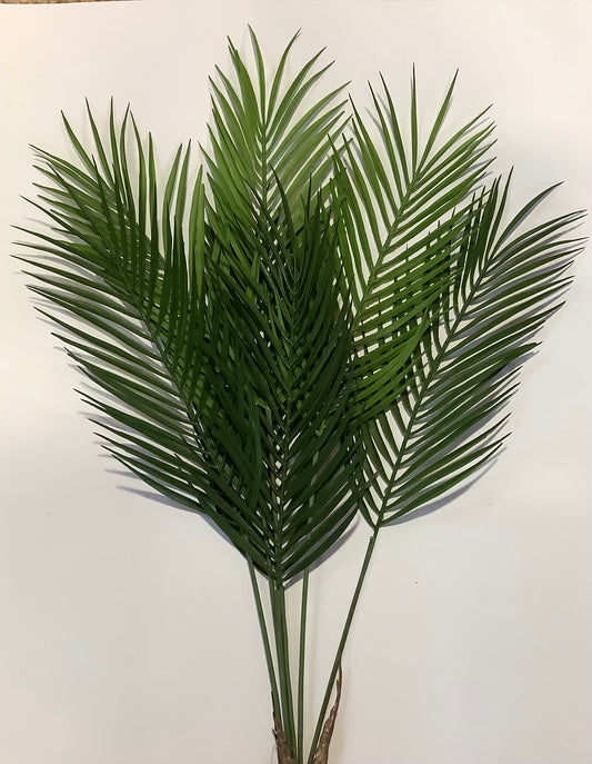 CMC938 Palm